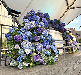 サムネイル　ライフデコイベントワークス163－表参道の花屋 LIFEDECO flower works