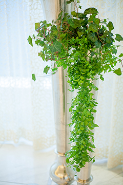 サムネイル　シャングリラホテル 結婚式 ウェディングフラワー04ウェディングフェア－表参道の花屋 LIFEDECO flower works