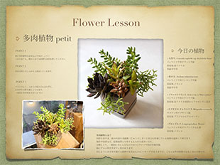 多肉植物：火祭りをメインに寄せ植え FLOWER LESSON Recipi 全12回のコースレッスン LIFEDECO flower works 東京 南青山のライフデコのフラワーレッスン